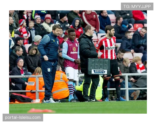 桑德兰重返英超首赛季：升班马的生存之战与未来展望